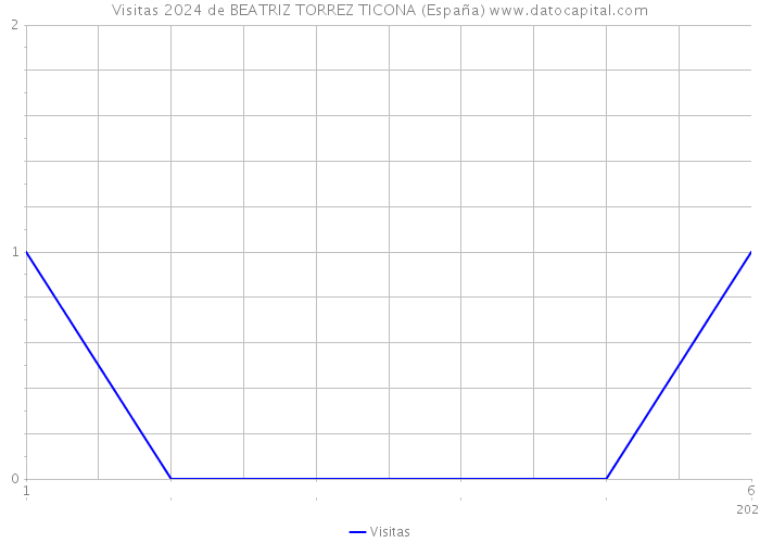 Visitas 2024 de BEATRIZ TORREZ TICONA (España) 