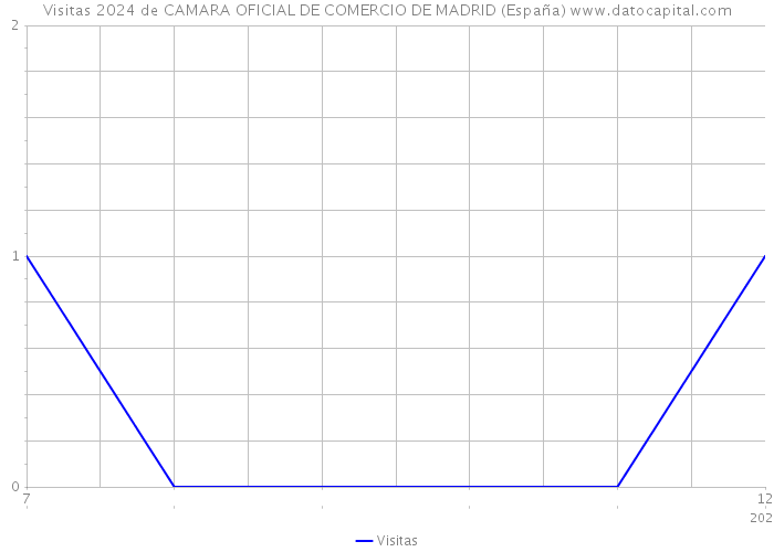Visitas 2024 de CAMARA OFICIAL DE COMERCIO DE MADRID (España) 