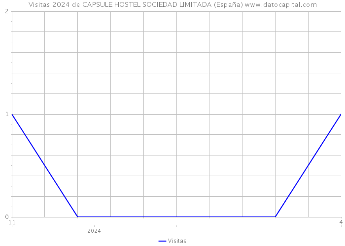Visitas 2024 de CAPSULE HOSTEL SOCIEDAD LIMITADA (España) 