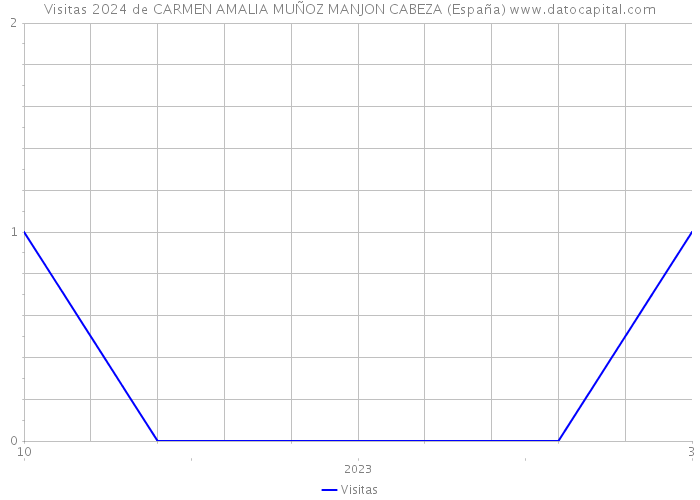 Visitas 2024 de CARMEN AMALIA MUÑOZ MANJON CABEZA (España) 