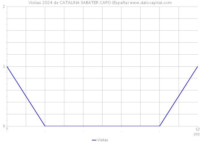 Visitas 2024 de CATALINA SABATER CAPO (España) 