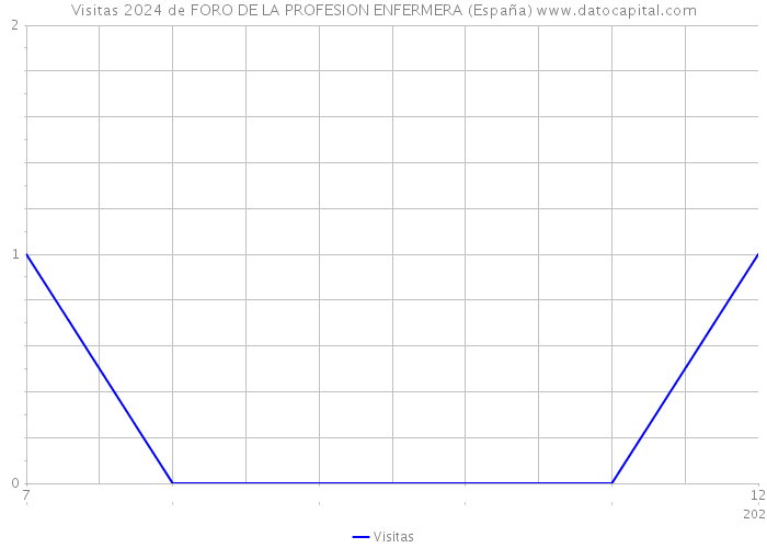 Visitas 2024 de FORO DE LA PROFESION ENFERMERA (España) 