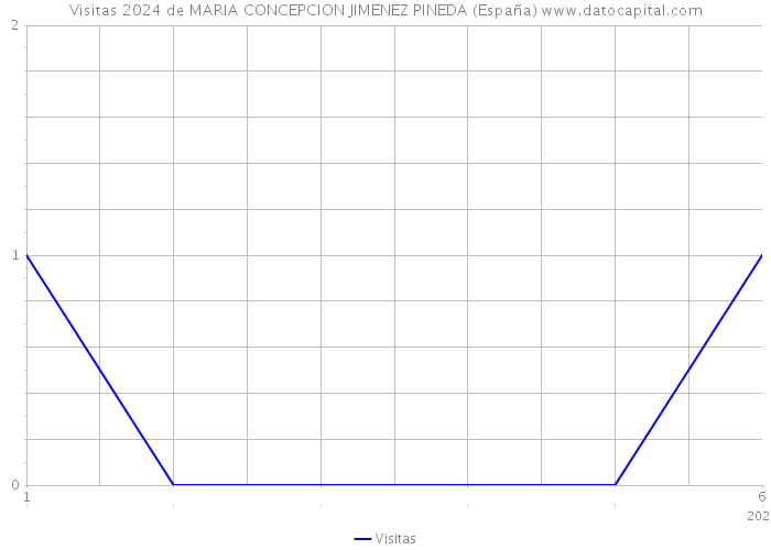 Visitas 2024 de MARIA CONCEPCION JIMENEZ PINEDA (España) 