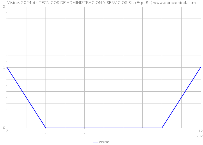 Visitas 2024 de TECNICOS DE ADMINISTRACION Y SERVICIOS SL. (España) 