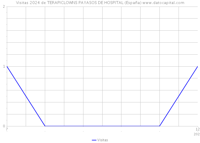 Visitas 2024 de TERAPICLOWNS PAYASOS DE HOSPITAL (España) 