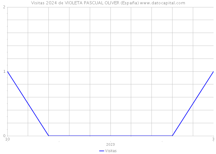 Visitas 2024 de VIOLETA PASCUAL OLIVER (España) 