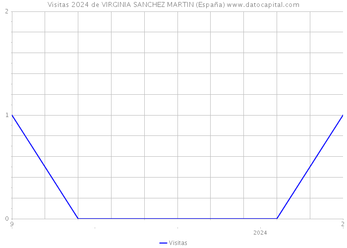 Visitas 2024 de VIRGINIA SANCHEZ MARTIN (España) 