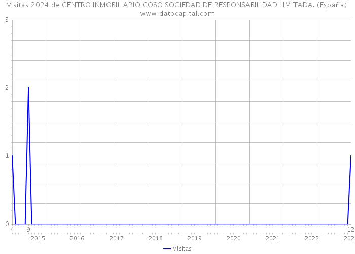 Visitas 2024 de CENTRO INMOBILIARIO COSO SOCIEDAD DE RESPONSABILIDAD LIMITADA. (España) 