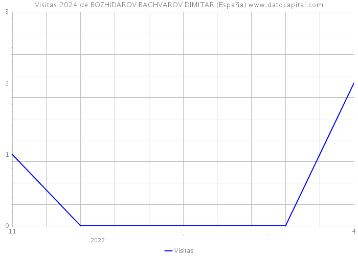 Visitas 2024 de BOZHIDAROV BACHVAROV DIMITAR (España) 