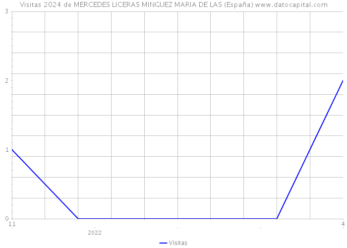 Visitas 2024 de MERCEDES LICERAS MINGUEZ MARIA DE LAS (España) 