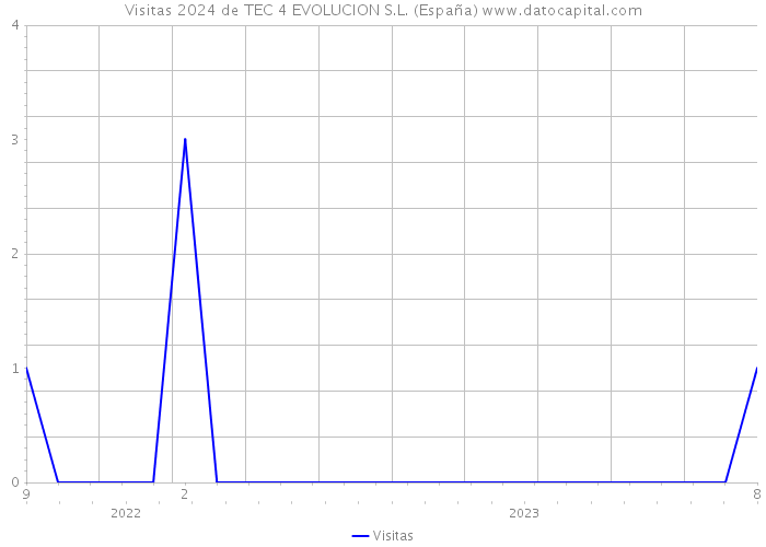 Visitas 2024 de TEC 4 EVOLUCION S.L. (España) 