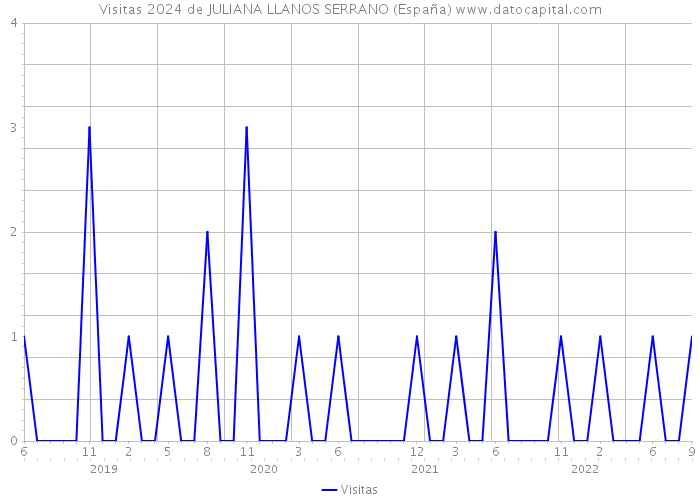 Visitas 2024 de JULIANA LLANOS SERRANO (España) 