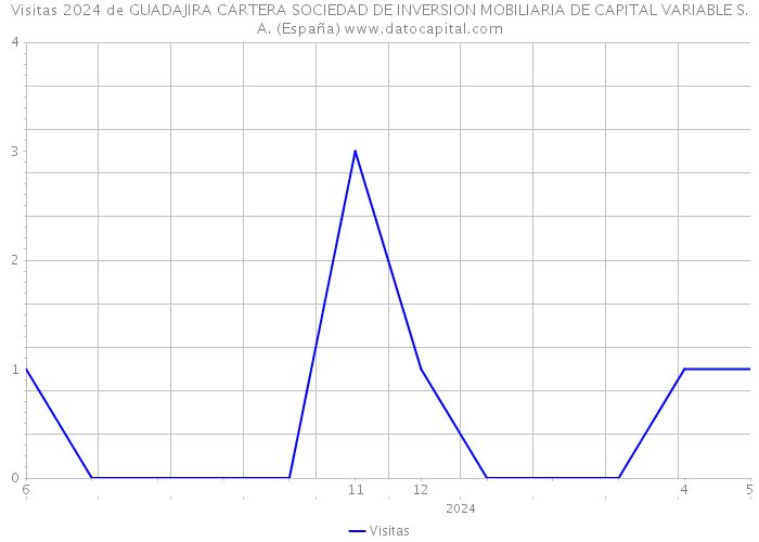 Visitas 2024 de GUADAJIRA CARTERA SOCIEDAD DE INVERSION MOBILIARIA DE CAPITAL VARIABLE S.A. (España) 