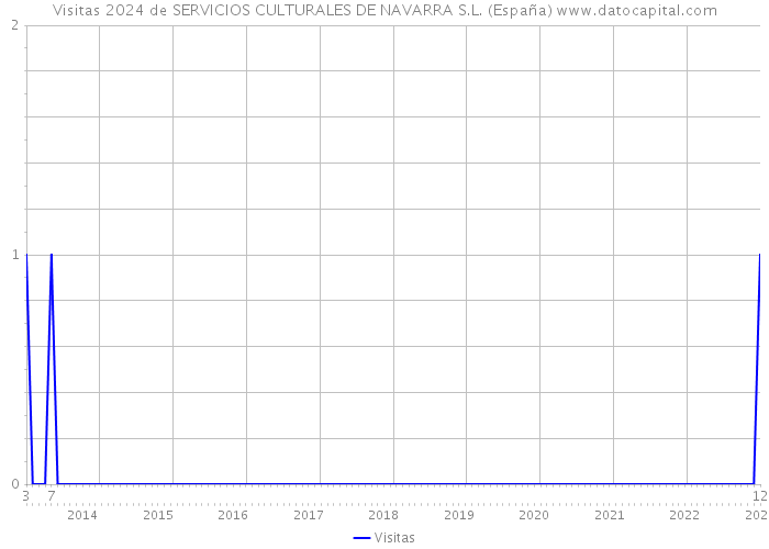 Visitas 2024 de SERVICIOS CULTURALES DE NAVARRA S.L. (España) 