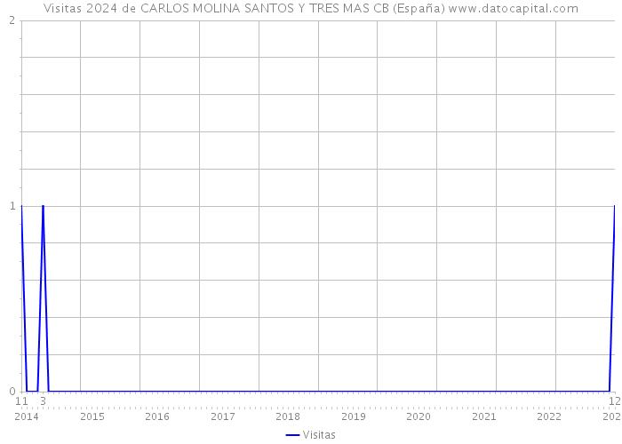 Visitas 2024 de CARLOS MOLINA SANTOS Y TRES MAS CB (España) 