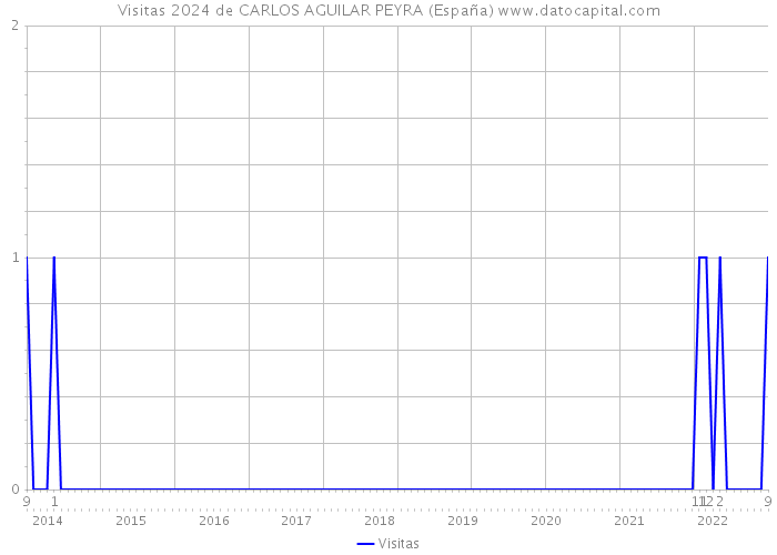 Visitas 2024 de CARLOS AGUILAR PEYRA (España) 