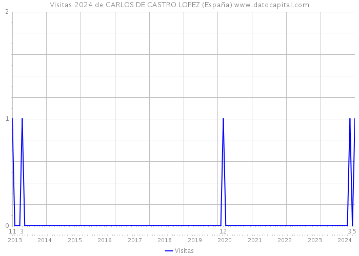 Visitas 2024 de CARLOS DE CASTRO LOPEZ (España) 