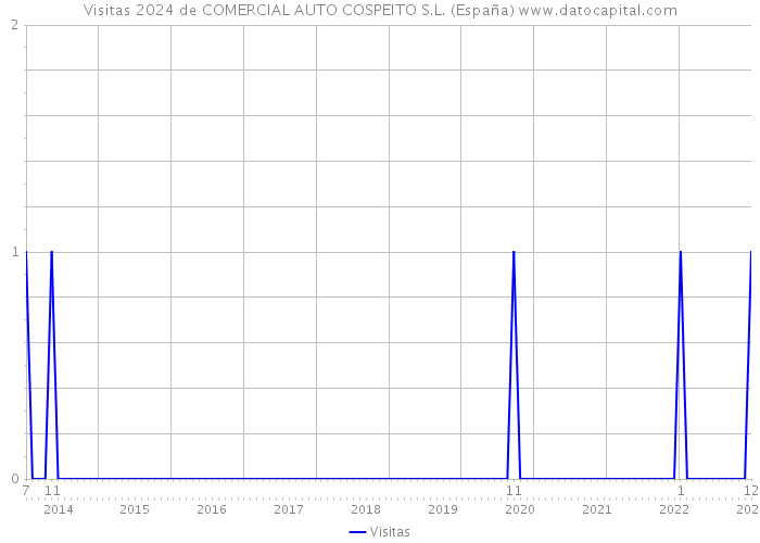 Visitas 2024 de COMERCIAL AUTO COSPEITO S.L. (España) 