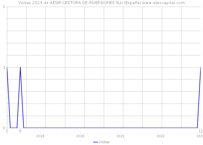 Visitas 2024 de AESIR GESTORA DE INVERSIONES SLU (España) 