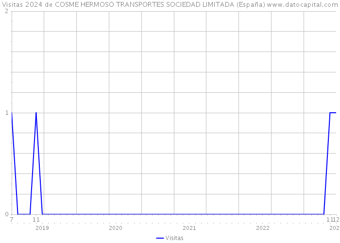 Visitas 2024 de COSME HERMOSO TRANSPORTES SOCIEDAD LIMITADA (España) 