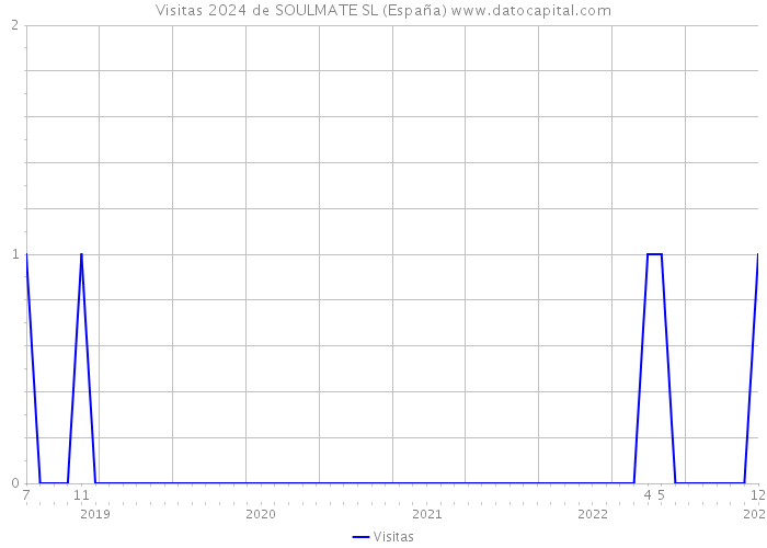 Visitas 2024 de SOULMATE SL (España) 