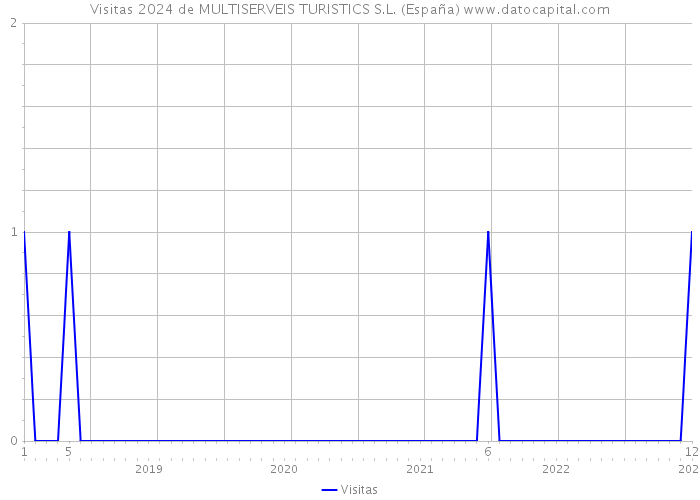 Visitas 2024 de MULTISERVEIS TURISTICS S.L. (España) 