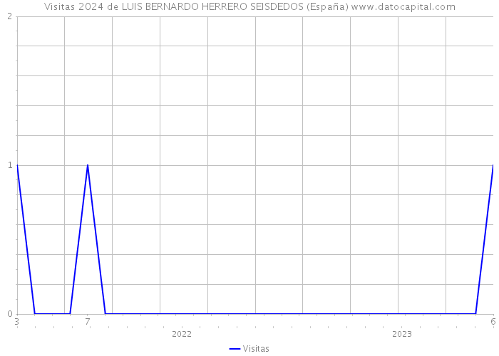 Visitas 2024 de LUIS BERNARDO HERRERO SEISDEDOS (España) 