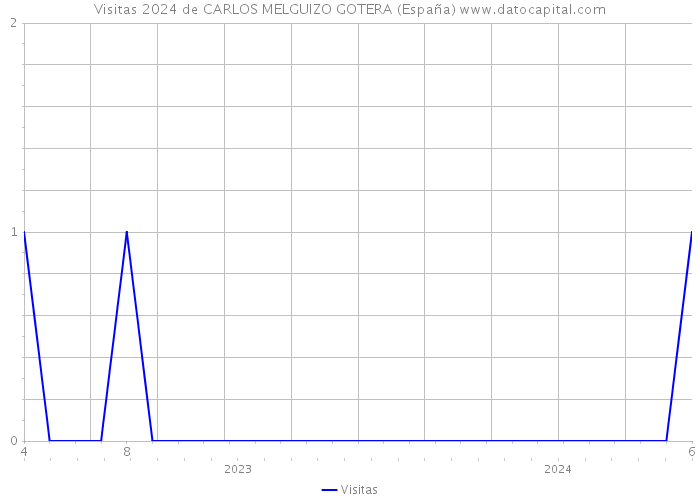 Visitas 2024 de CARLOS MELGUIZO GOTERA (España) 