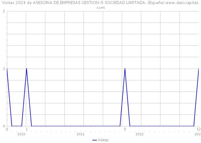 Visitas 2024 de ASESORIA DE EMPRESAS GESTION-5 SOCIEDAD LIMITADA. (España) 