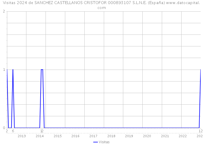 Visitas 2024 de SANCHEZ CASTELLANOS CRISTOFOR 000893107 S.L.N.E. (España) 