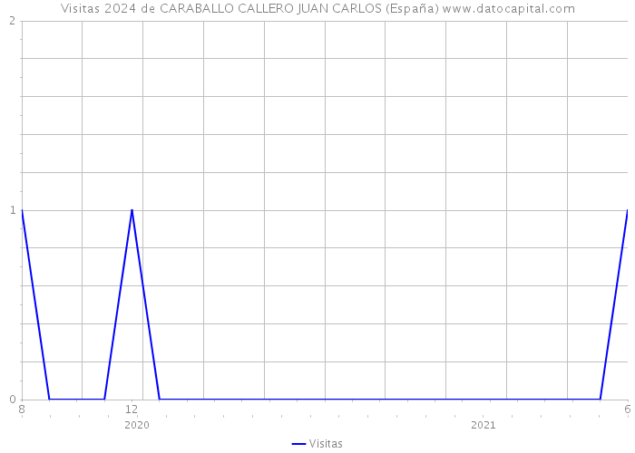 Visitas 2024 de CARABALLO CALLERO JUAN CARLOS (España) 
