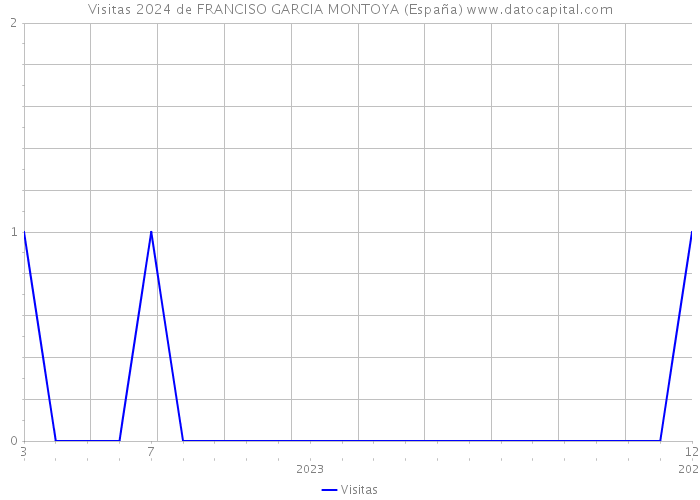Visitas 2024 de FRANCISO GARCIA MONTOYA (España) 