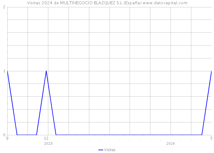 Visitas 2024 de MULTINEGOCIO BLAZQUEZ S.L (España) 