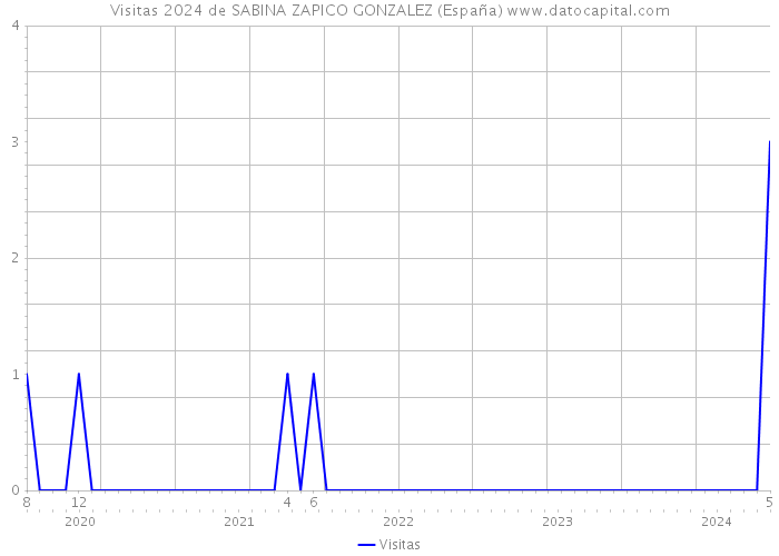 Visitas 2024 de SABINA ZAPICO GONZALEZ (España) 