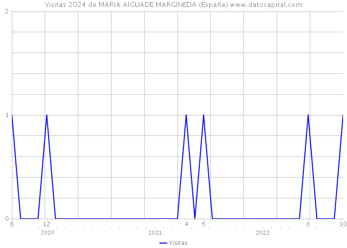 Visitas 2024 de MARIA AIGUADE MARGINEDA (España) 