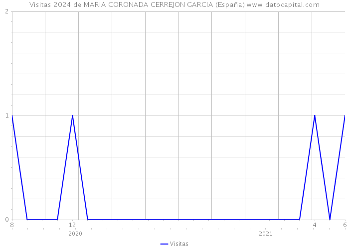 Visitas 2024 de MARIA CORONADA CERREJON GARCIA (España) 