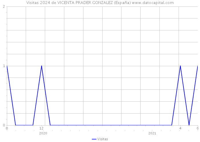 Visitas 2024 de VICENTA PRADER GONZALEZ (España) 