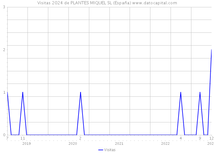 Visitas 2024 de PLANTES MIQUEL SL (España) 