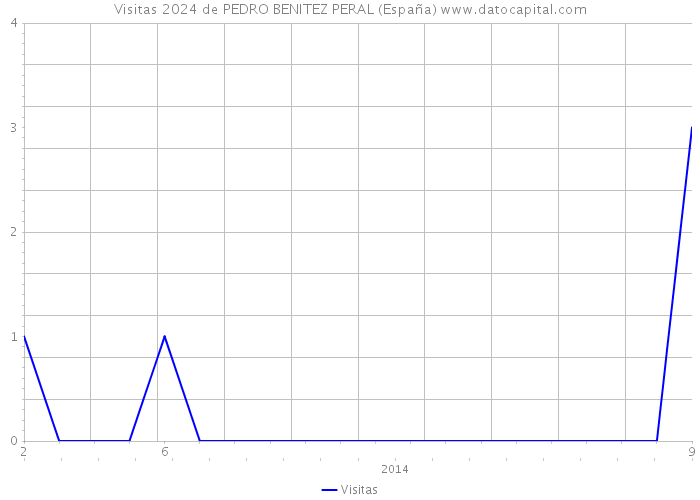 Visitas 2024 de PEDRO BENITEZ PERAL (España) 