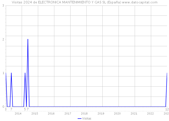 Visitas 2024 de ELECTRONICA MANTENIMIENTO Y GAS SL (España) 