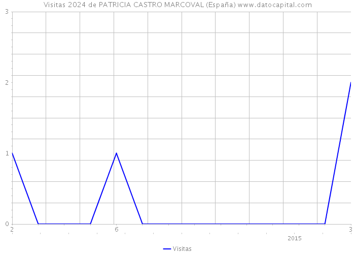 Visitas 2024 de PATRICIA CASTRO MARCOVAL (España) 