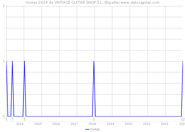 Visitas 2024 de VINTAGE GUITAR SHOP S.L. (España) 