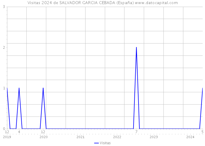 Visitas 2024 de SALVADOR GARCIA CEBADA (España) 