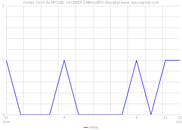 Visitas 2024 de MIGUEL CACERES CABALLERO (España) 