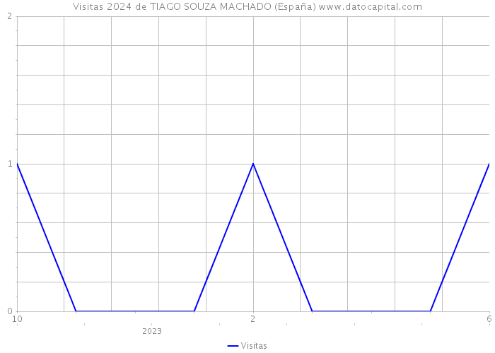 Visitas 2024 de TIAGO SOUZA MACHADO (España) 