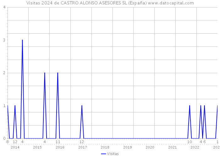 Visitas 2024 de CASTRO ALONSO ASESORES SL (España) 