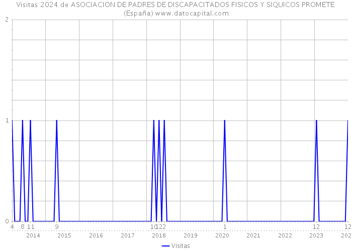 Visitas 2024 de ASOCIACION DE PADRES DE DISCAPACITADOS FISICOS Y SIQUICOS PROMETE (España) 