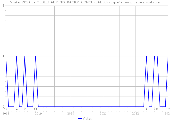 Visitas 2024 de MEDLEY ADMINISTRACION CONCURSAL SLP (España) 