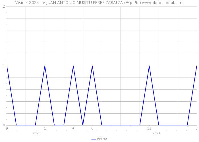 Visitas 2024 de JUAN ANTONIO MUSITU PEREZ ZABALZA (España) 