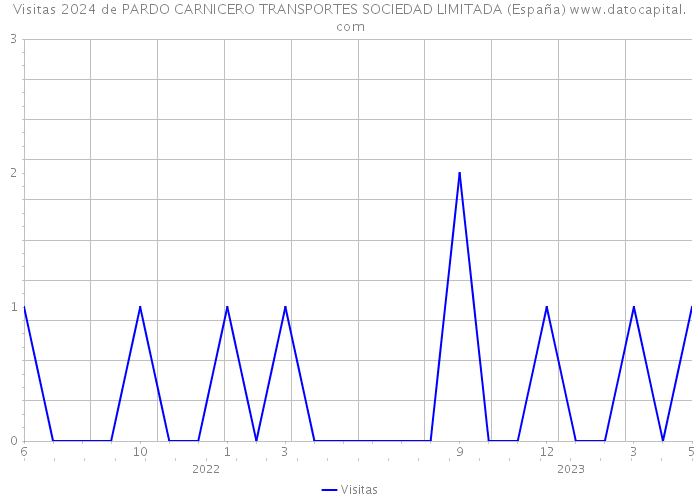 Visitas 2024 de PARDO CARNICERO TRANSPORTES SOCIEDAD LIMITADA (España) 